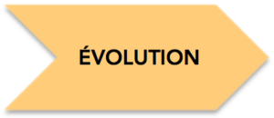 Évolution_jaune