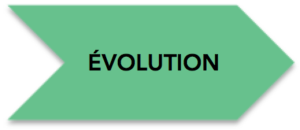 Évolution_vert