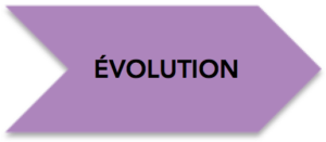 Évolution_violet